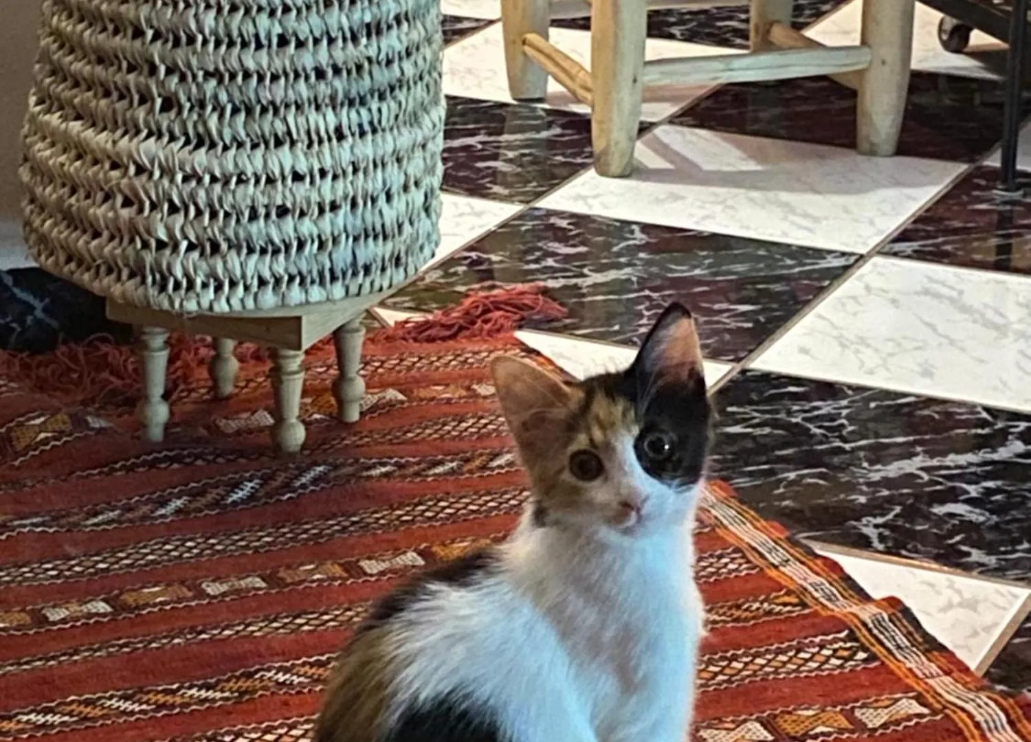 Accommodatie bij particulieren Riad Palmier Fleuri Marrakesh Marokko