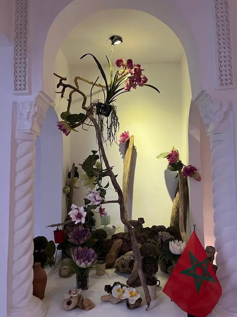 Ubytování v soukromí Riad Palmier Fleuri Marakéš Maroko